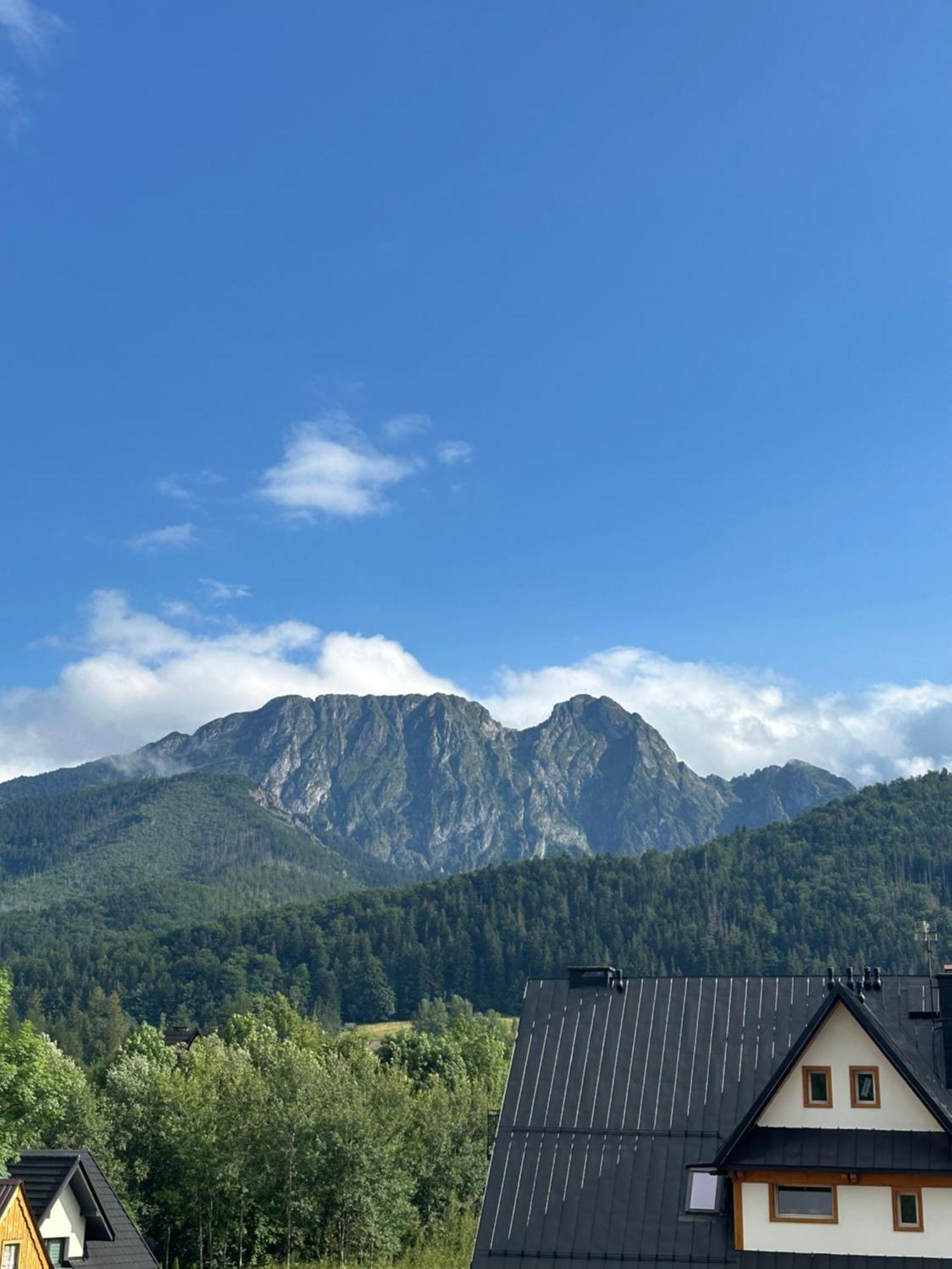 Willa Szafran Zakopane Zewnętrze zdjęcie