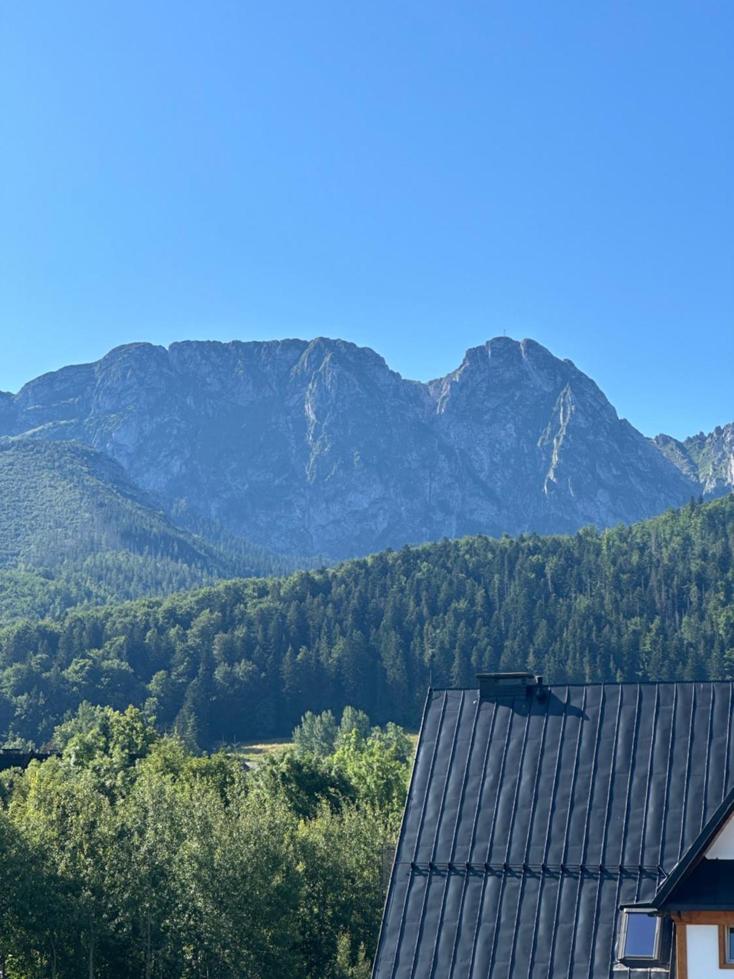 Willa Szafran Zakopane Zewnętrze zdjęcie