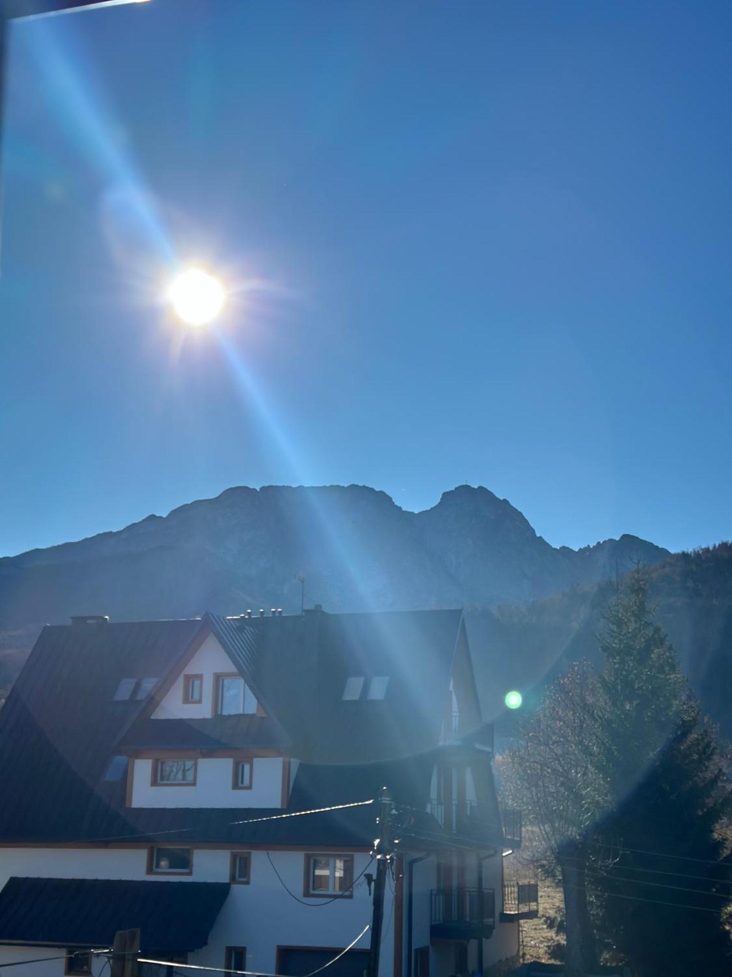 Willa Szafran Zakopane Zewnętrze zdjęcie