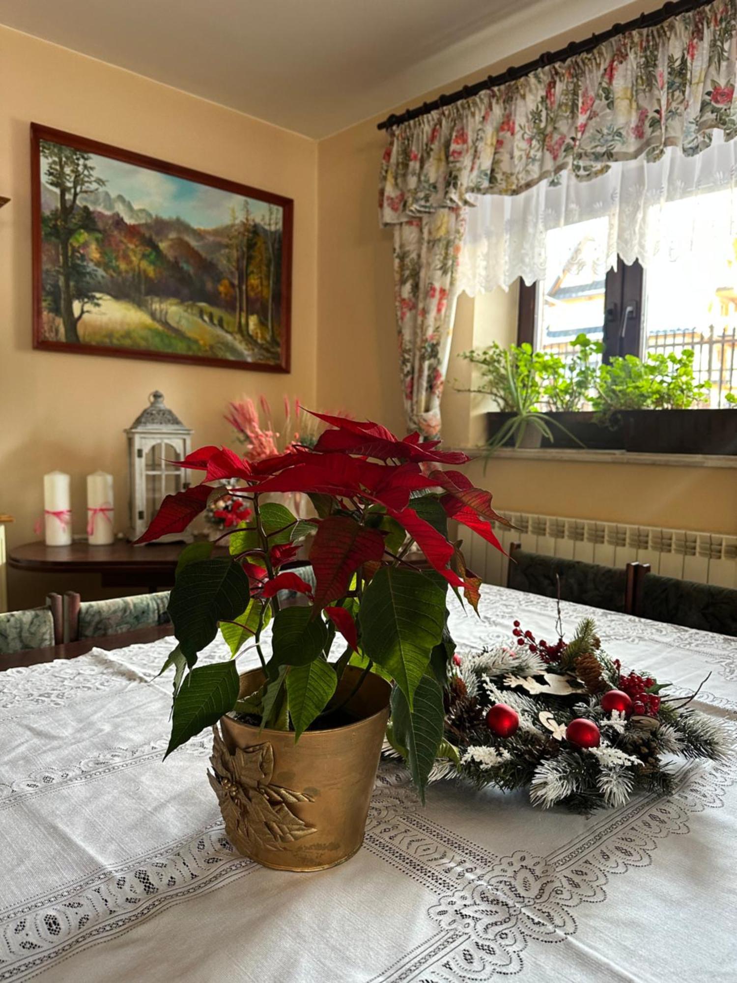Willa Szafran Zakopane Zewnętrze zdjęcie